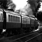 Twilight Express